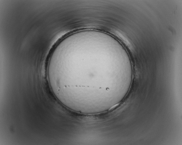 X0000116820883200912312013