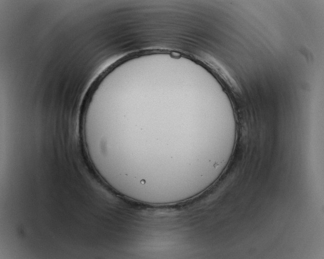 X0000116820884200912312013