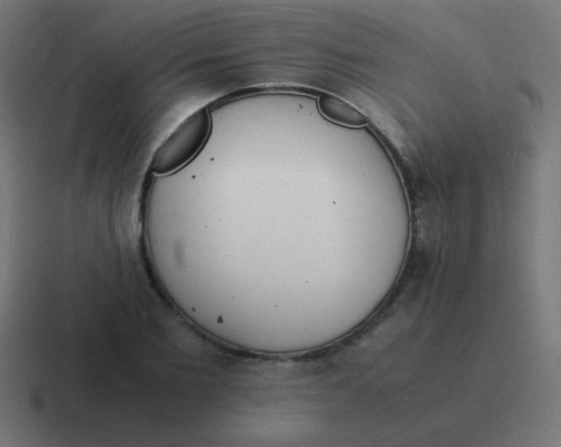 X0000116820885200912312013