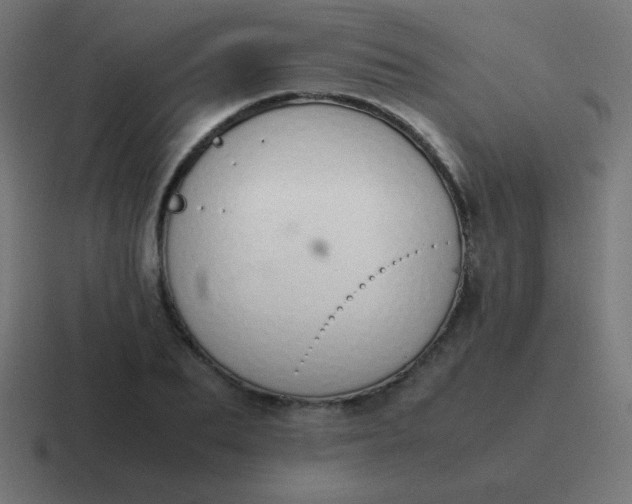 X0000116820887200912312013