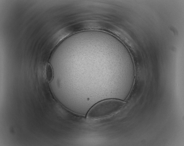 X0000116820889200912312013