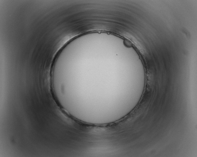 X0000116820890200912312013