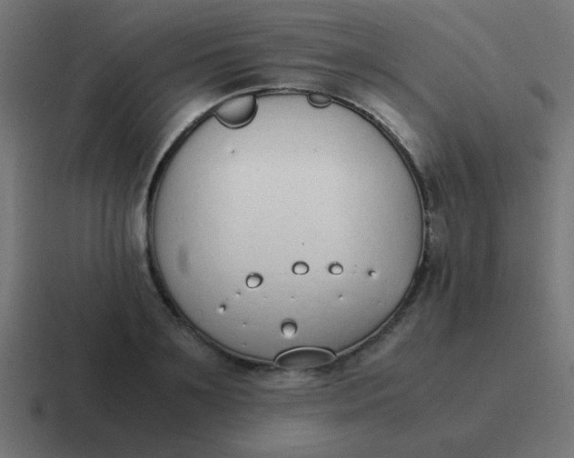 X0000116820891200912312013