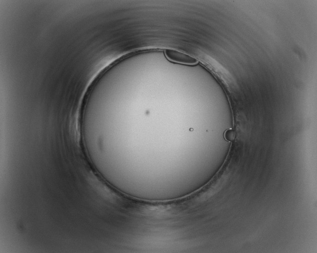 X0000116820892200912312013