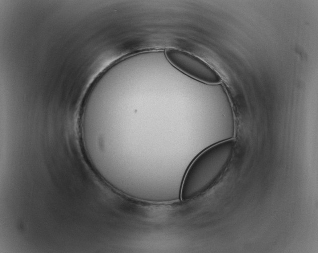 X0000116820893200912312013