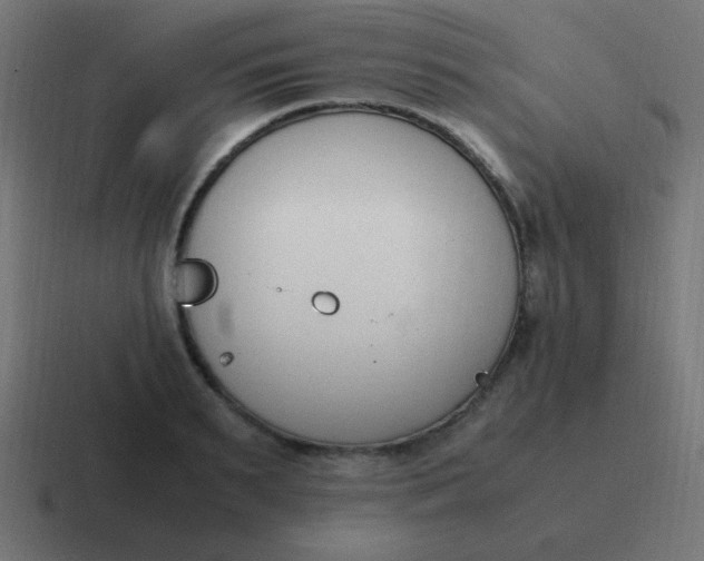 X0000116820895200912312013