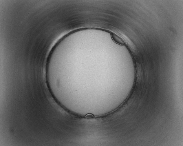 X0000116820896200912312013