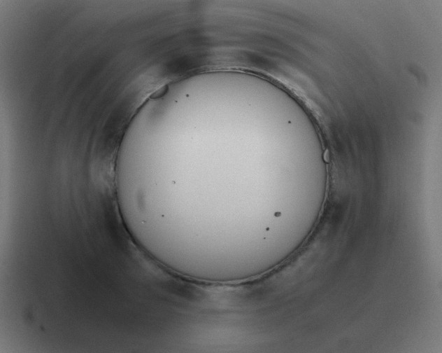 X0000116820897200912312013