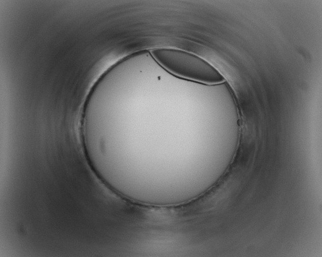 X0000116820901200912312013