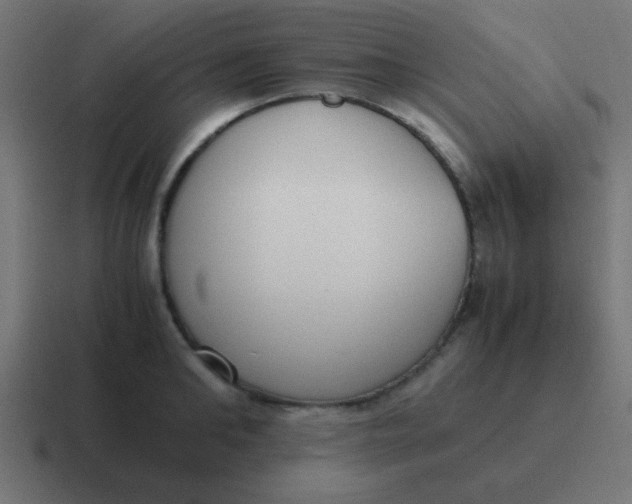 X0000116820902200912312013