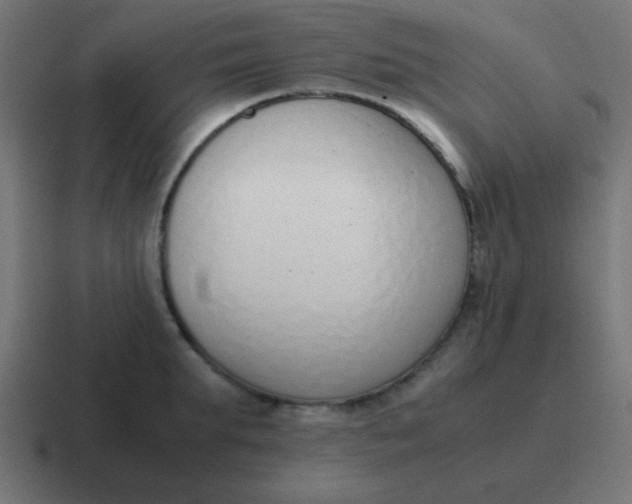 X0000116820903200912312013