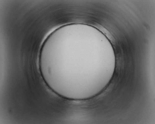 X0000116820904200912312013