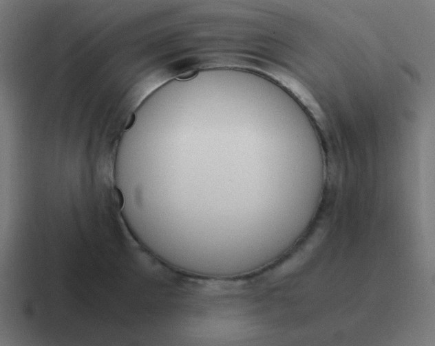 X0000116820905200912312013