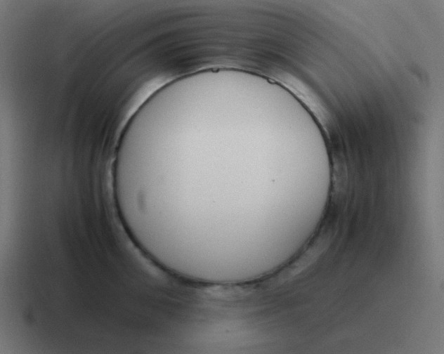 X0000116820906200912312013