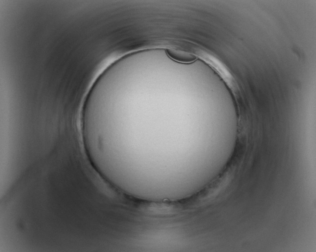 X0000116820907200912312013