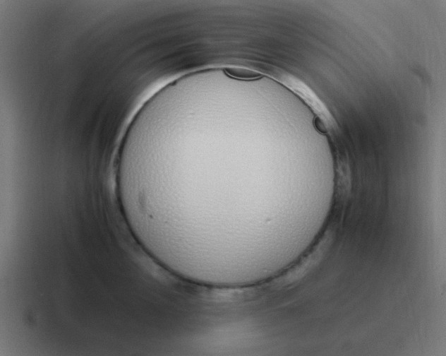 X0000116820908200912312013