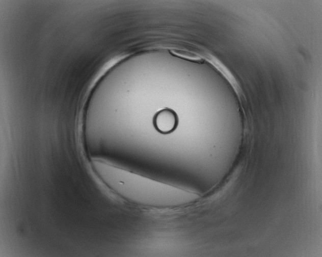 X0000116820909200912312013