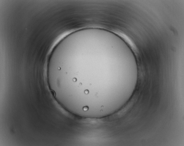 X0000116820910200912312013