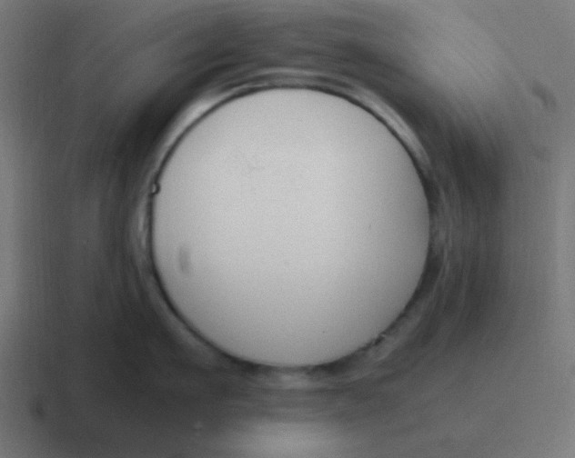 X0000116820911200912312013