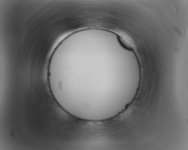 X0000116820912200912312013