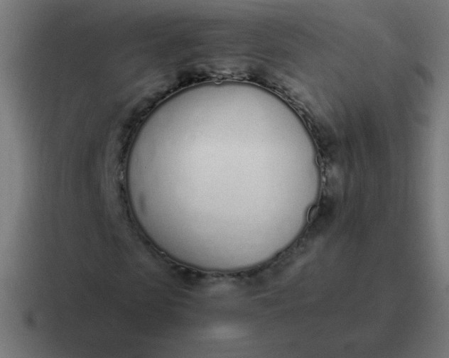 X0000116820913200912312012