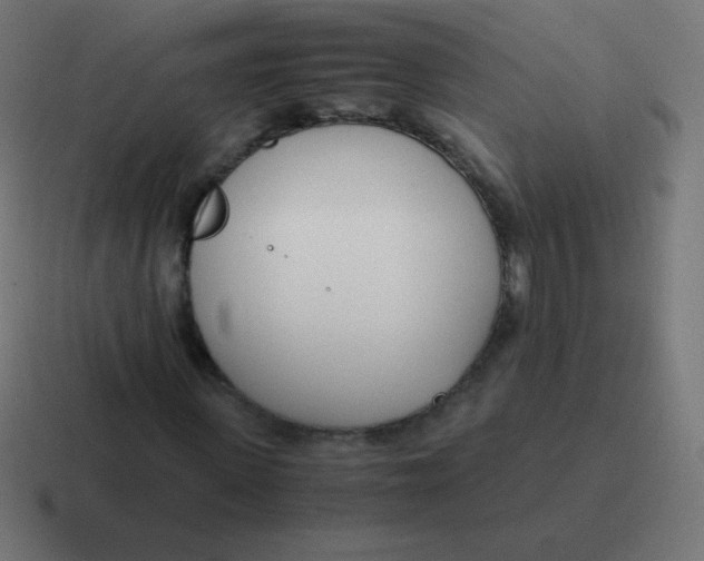 X0000116820915200912312012