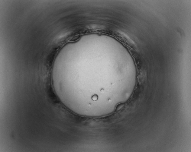 X0000116820917200912312012