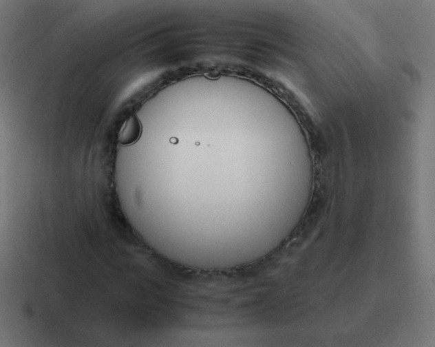 X0000116820919200912312012