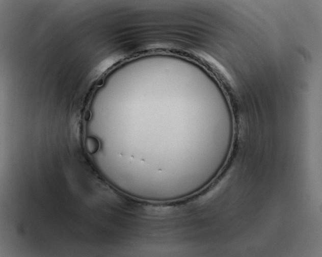 X0000116820921200912312012