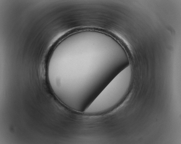 X0000116820925200912312013