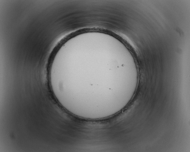 X0000116820927200912312013