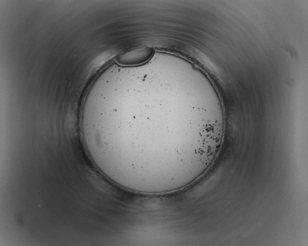 X0000116820930200912312013