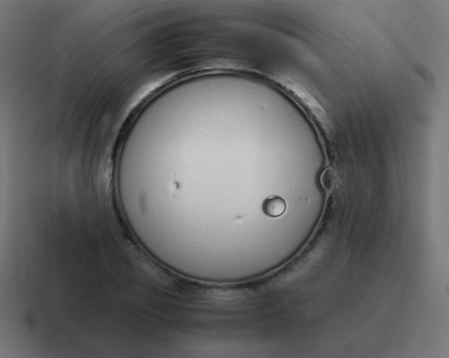 X0000116820933200912312013