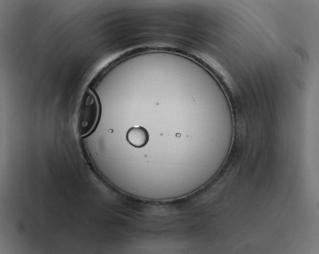 X0000116820935200912312013