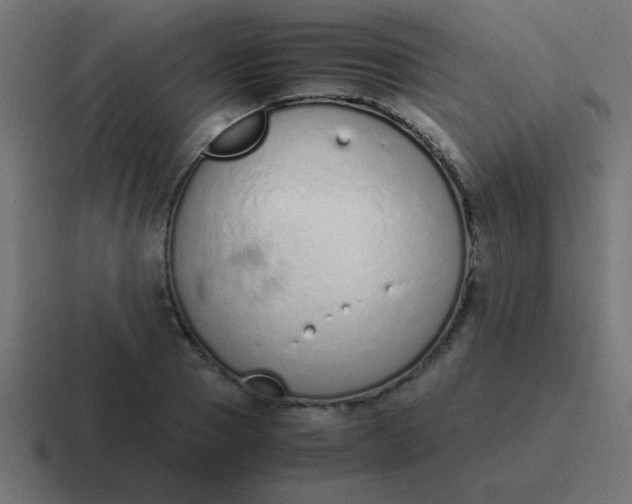 X0000116820937200912312013