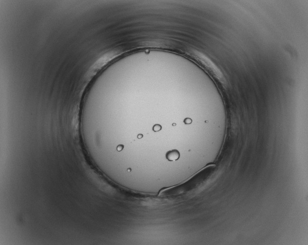 X0000116820938200912312013