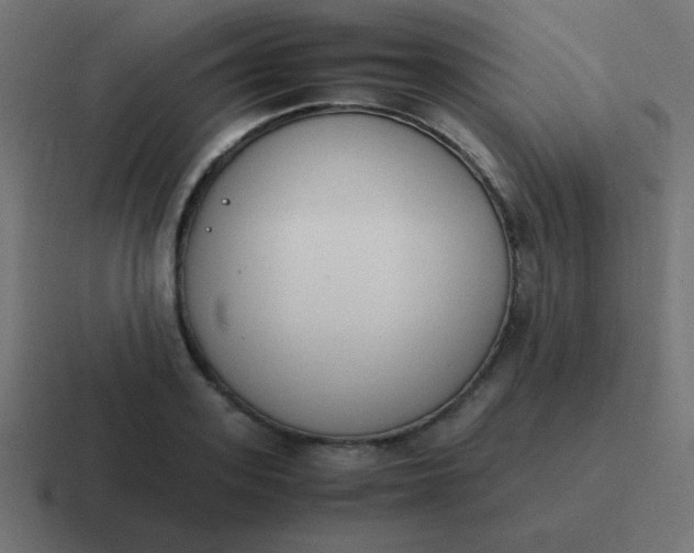 X0000116820939200912312013