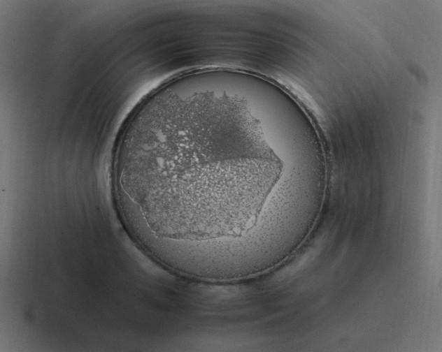 X0000116820941200912312013