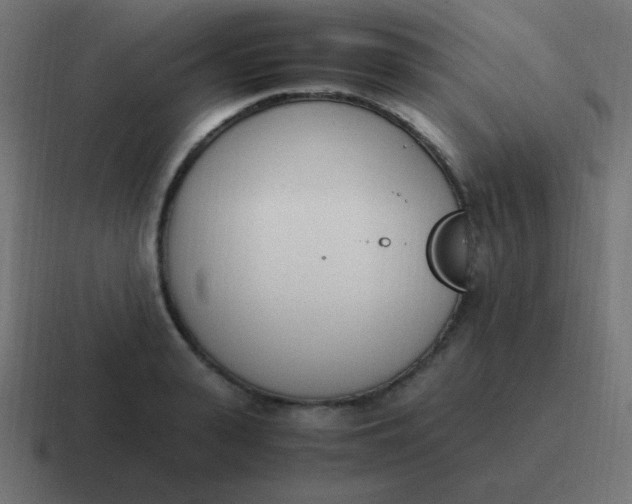 X0000116820943200912312013