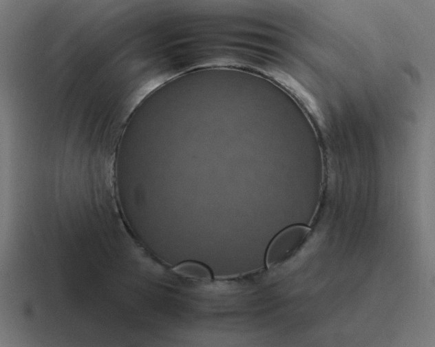 X0000116820945200912312013