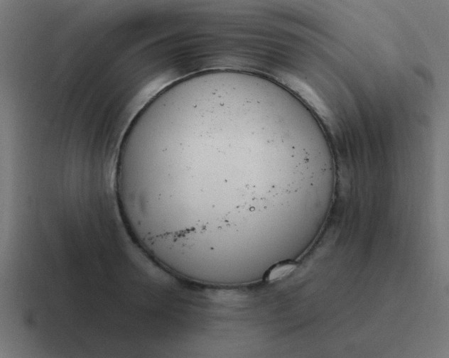 X0000116820946200912312013