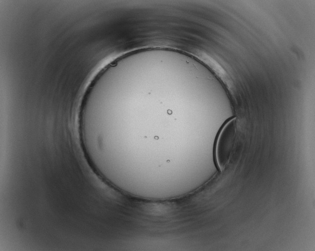 X0000116820947200912312013