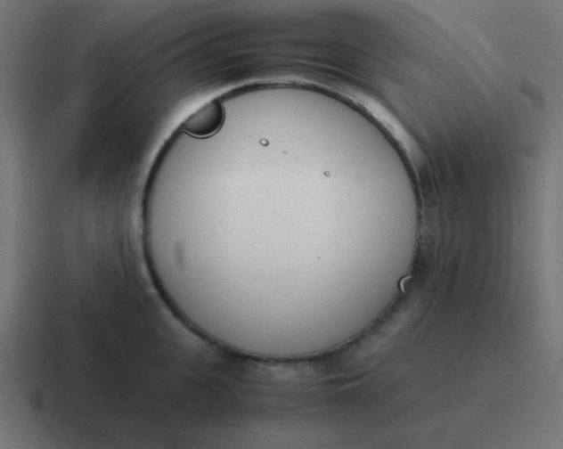 X0000116820951200912312013