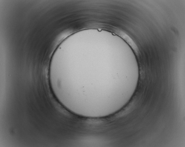 X0000116820954200912312013