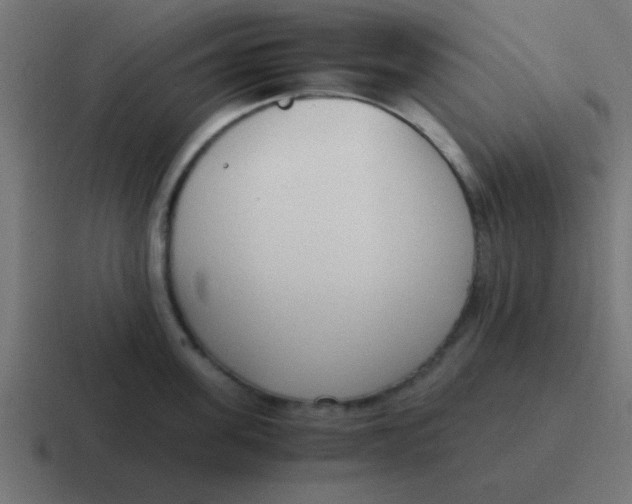 X0000116820955200912312013