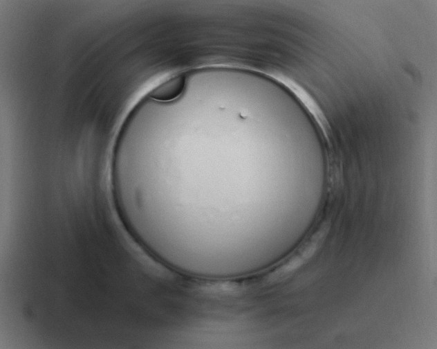 X0000116820957200912312013