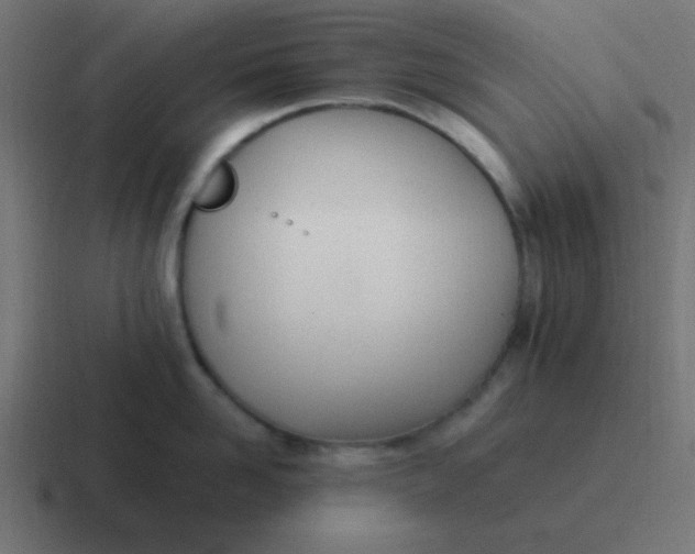 X0000116820958200912312013