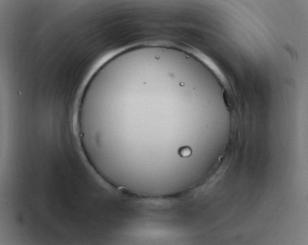 X0000116820959200912312013