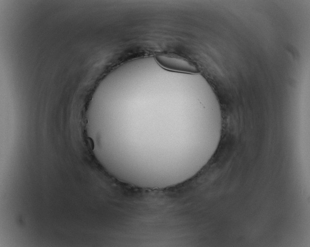 X0000116820961200912312012