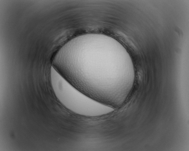 X0000116820964200912312012